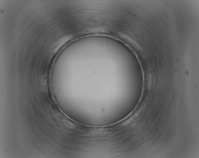 X0000077401162200611032019