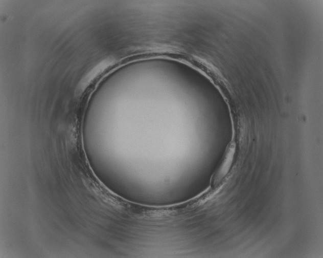 X0000077401163200611032019