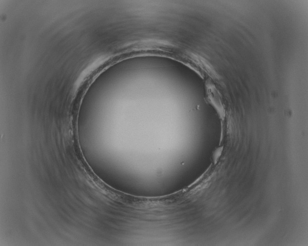 X0000077401164200611032019