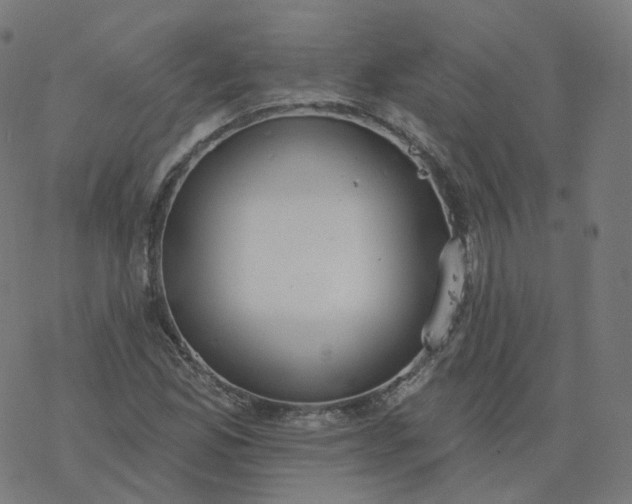 X0000077401165200611032019