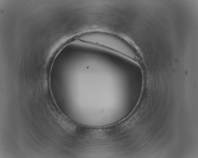 X0000077401167200611032019