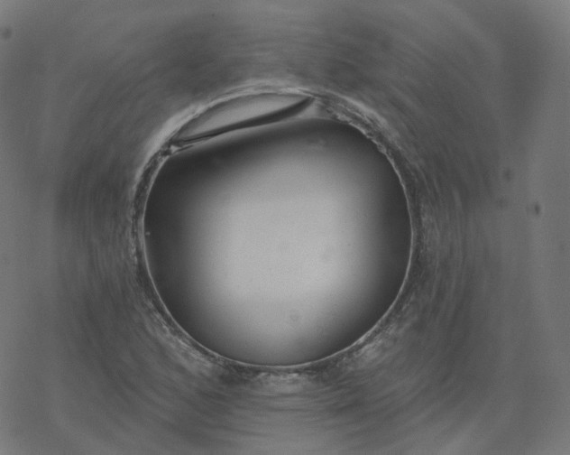 X0000077401168200611032019