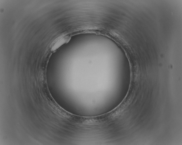 X0000077401169200611032019