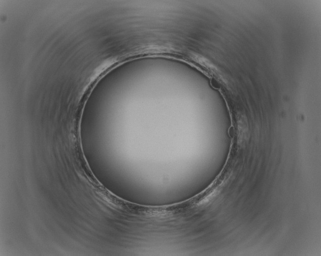 X0000077401170200611032019