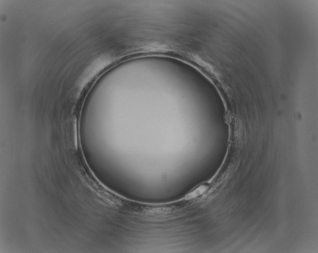 X0000077401171200611032019