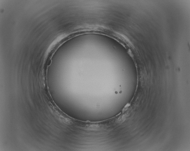 X0000077401172200611032019