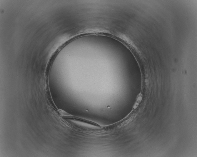 X0000077401173200611032019