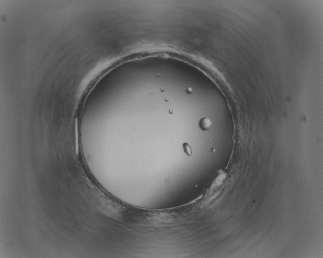 X0000077401175200611032019