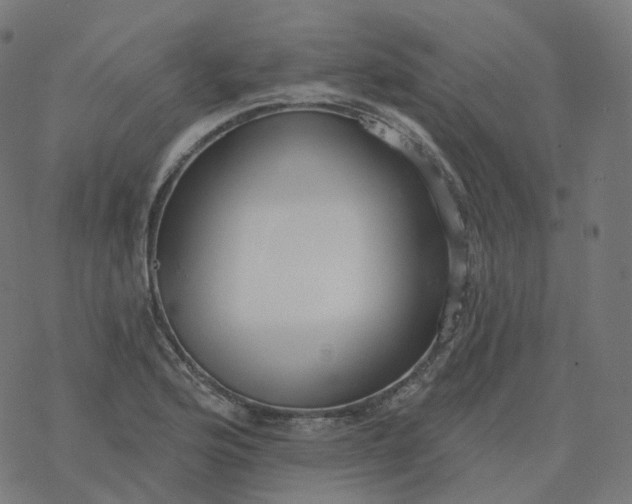 X0000077401176200611032019