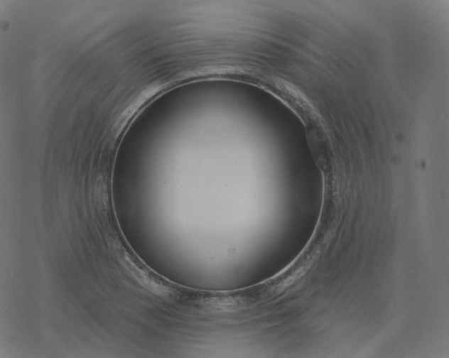 X0000077401177200611032019