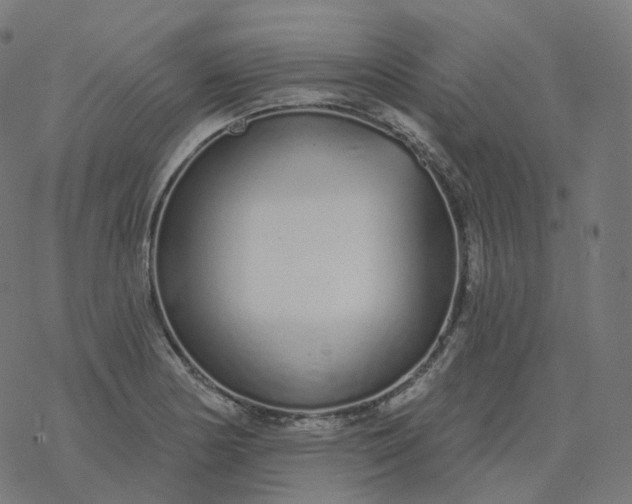 X0000077401178200611032019