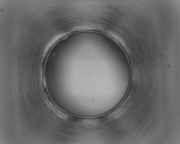 X0000077401179200611032019