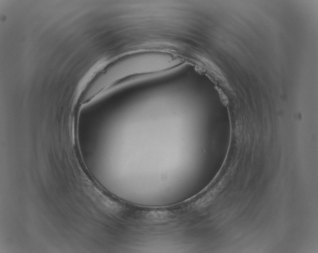 X0000077401180200611032019