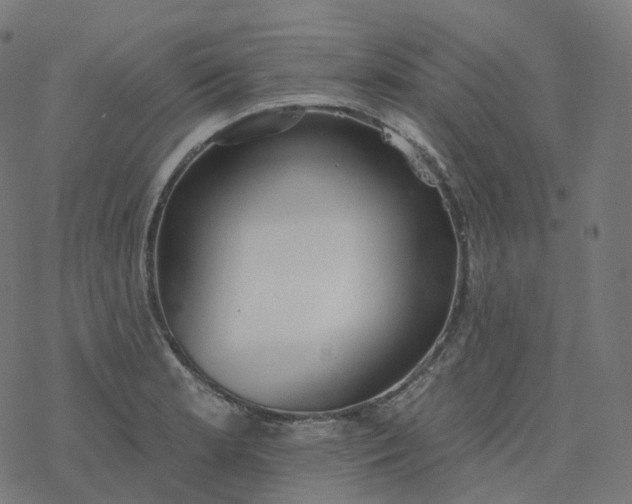 X0000077401181200611032019