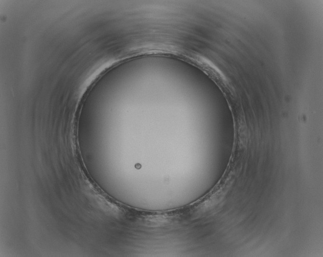 X0000077401182200611032019