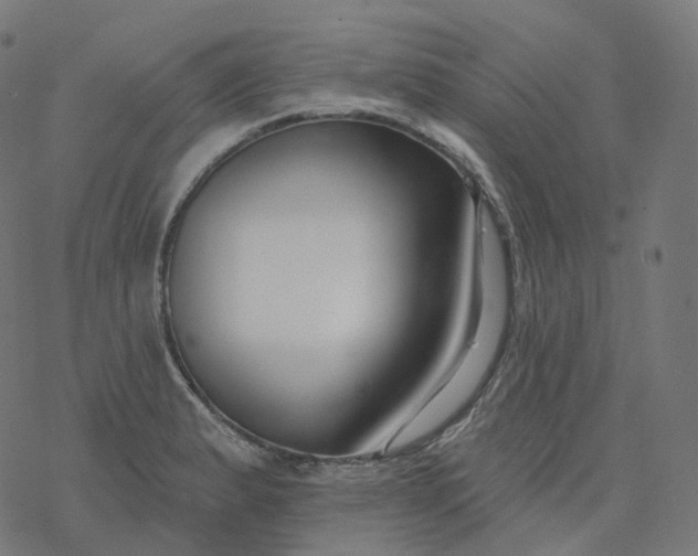 X0000077401183200611032019