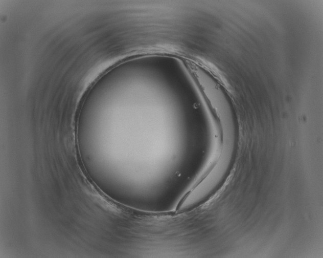 X0000077401184200611032019