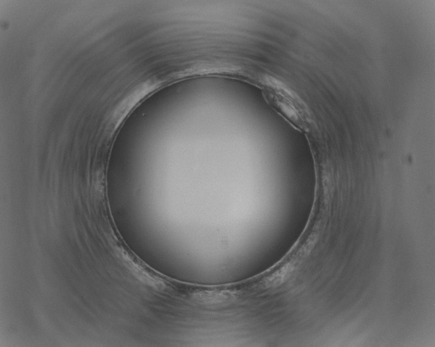 X0000077401185200611032019