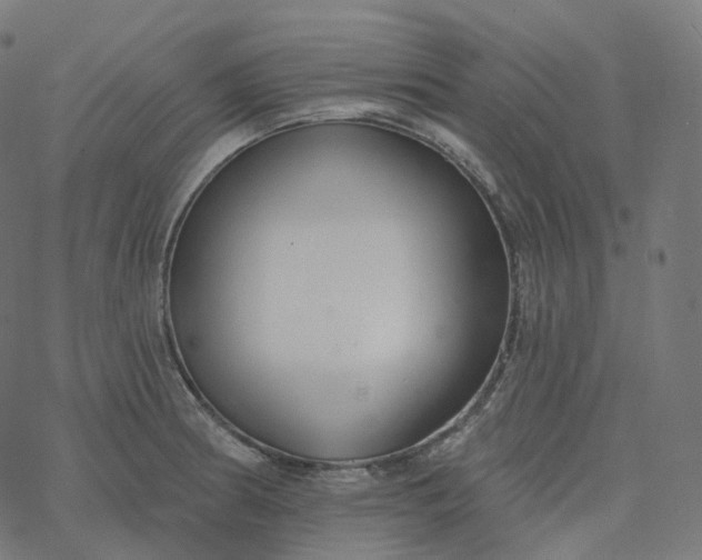 X0000077401186200611032019