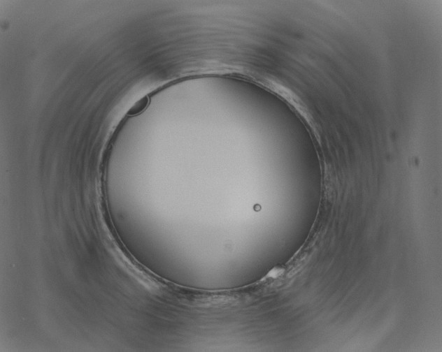 X0000077401187200611032019