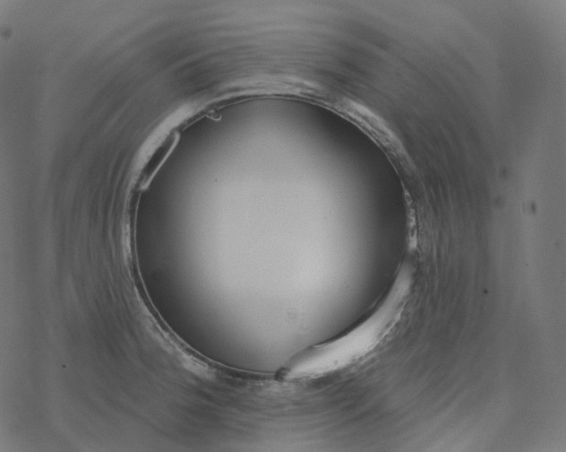 X0000077401188200611032019