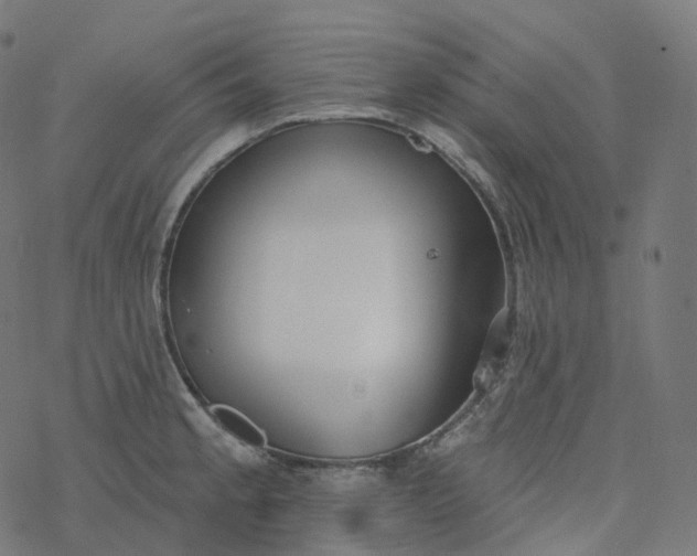 X0000077401189200611032019