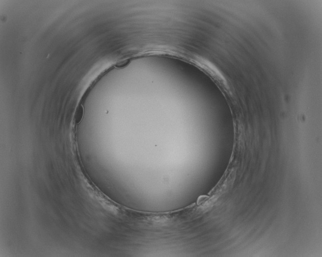 X0000077401190200611032019