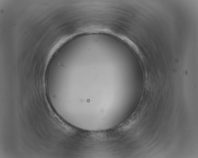 X0000077401191200611032019