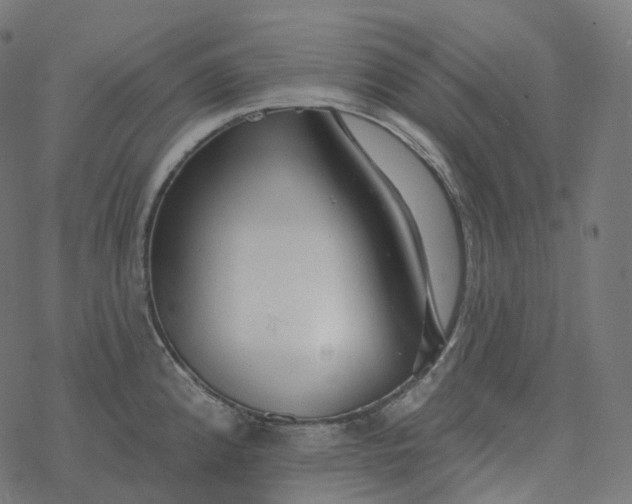 X0000077401192200611032019