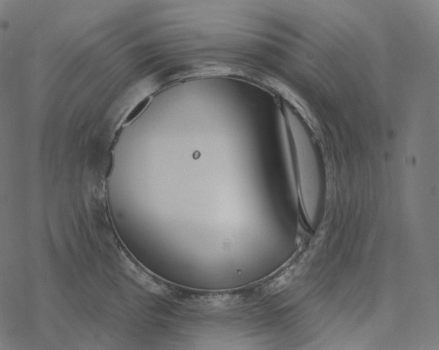 X0000077401193200611032019