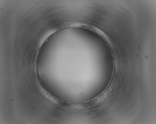 X0000077401194200611032019