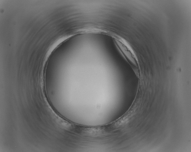 X0000077401195200611032019