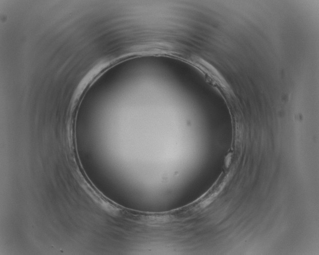 X0000077401196200611032019