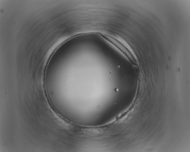 X0000077401197200611032019