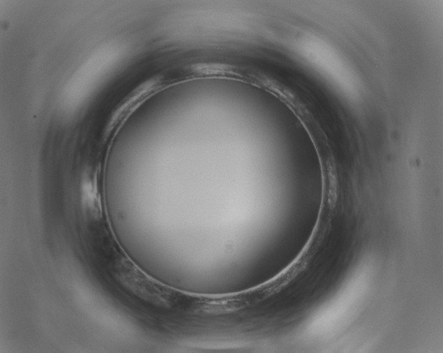 X0000077401198200611032019