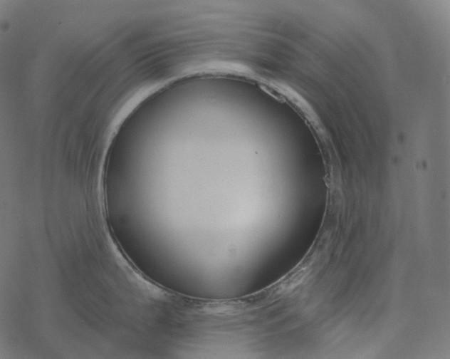 X0000077401199200611032019