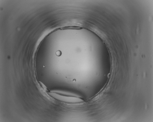 X0000077401200200611032019