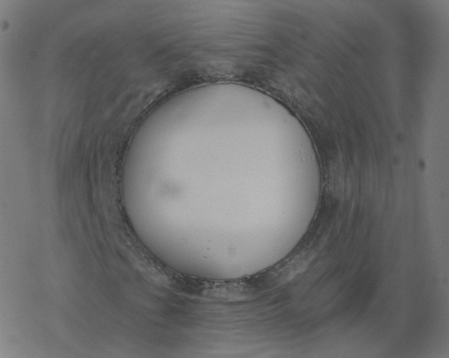 X0000077401201200611032018