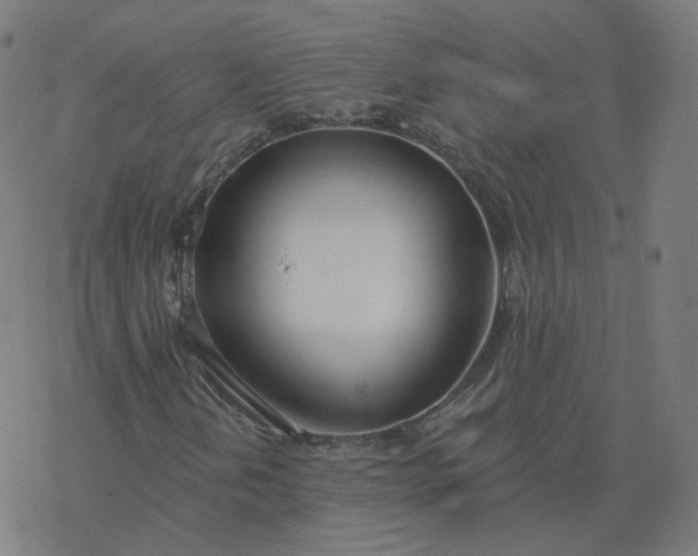 X0000077401202200611032018