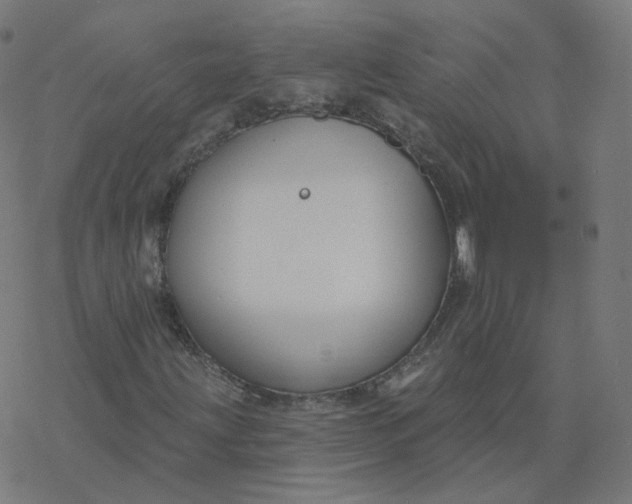 X0000077401203200611032018