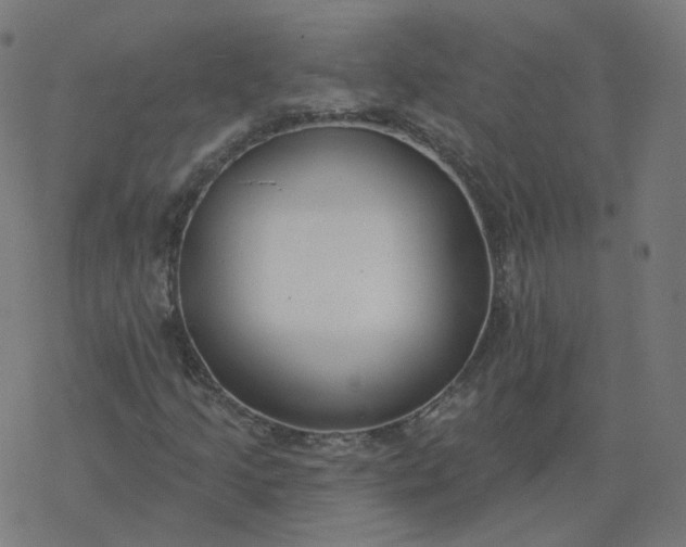 X0000077401205200611032018