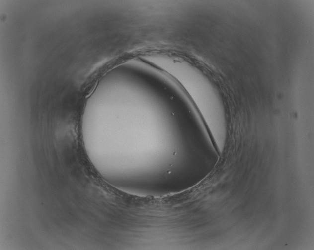 X0000077401206200611032018