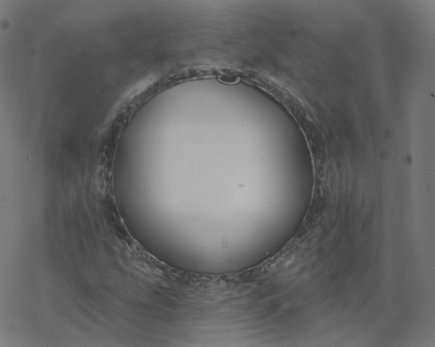 X0000077401207200611032018