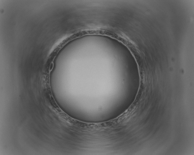 X0000077401208200611032018