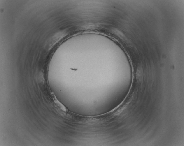 X0000077401209200611032018