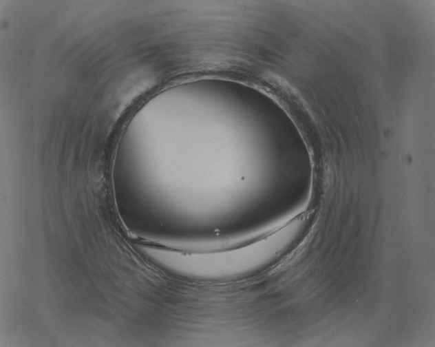 X0000077401210200611032018