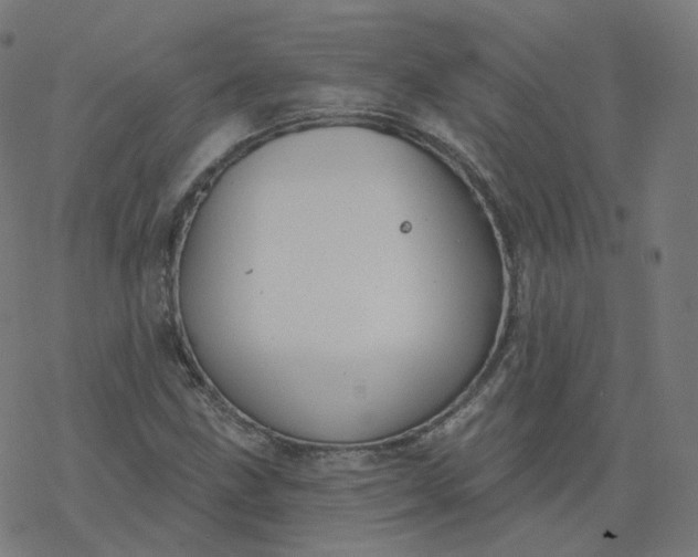 X0000077401211200611032018