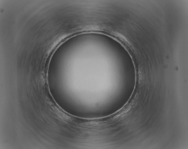 X0000077401212200611032018