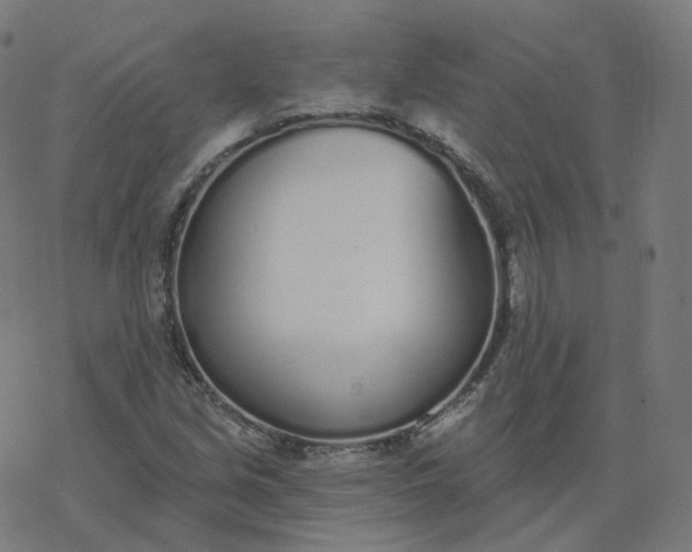 X0000077401213200611032018