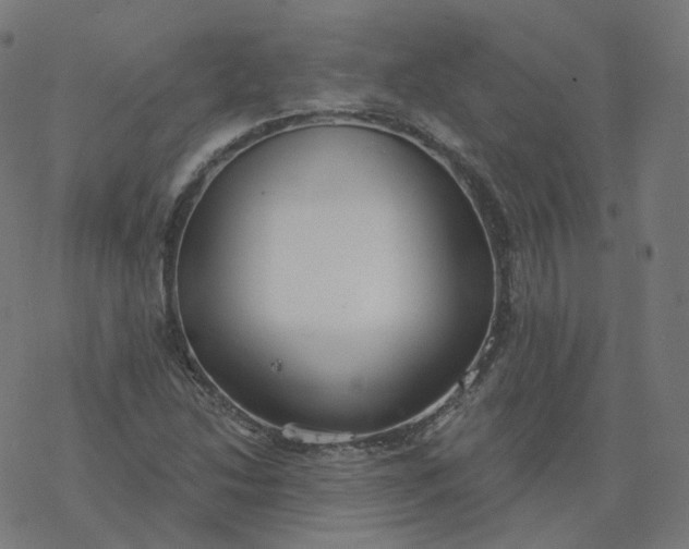 X0000077401214200611032018